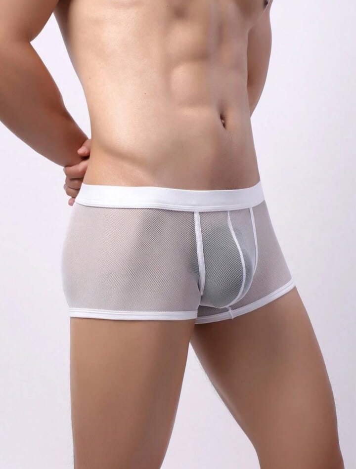 Frost Sheer Mesh Boxer Briefs